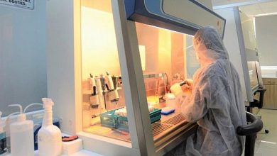 Türk bilim insanları Maymun Çiçeği için PCR Tanı Kiti geliştirdi!