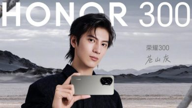 Honor 300